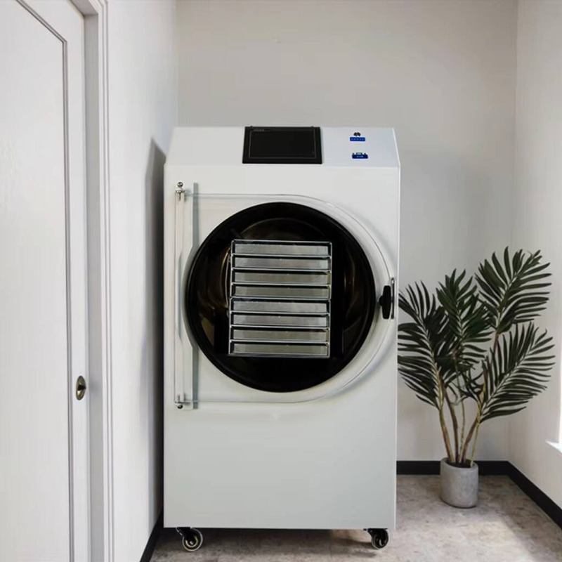 Máquina de secagem automática  - Dried Fruit avaliação e preço