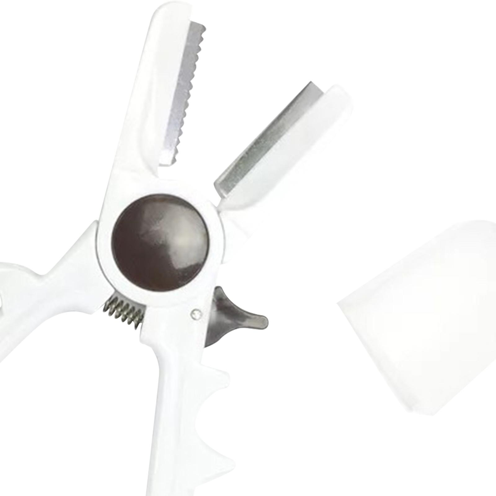 Ferramenta manual para quebrar - Dried Fruit avaliação e preço