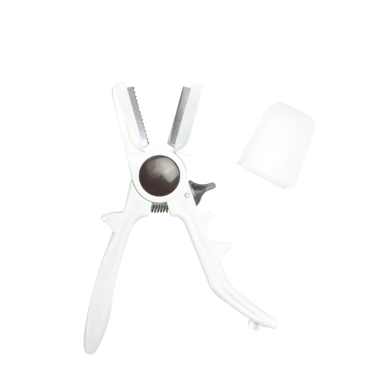Ferramenta manual para quebrar - Dried Fruit avaliação e preço